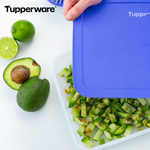 Load image into Gallery viewer, Eiskristall 2,25 Liter - Tupperland