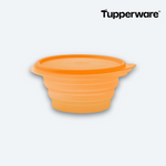Load image into Gallery viewer, Mini-Max® 700 ml - Tupperland