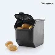 Kartoffellager - Tupperland