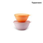 Load image into Gallery viewer, Kleiner Wunderschüsselsatz Tupperware