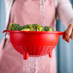 Load image into Gallery viewer, Saladin Multisieb Tupperware