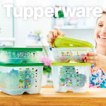 Load image into Gallery viewer, KlimaOase 800 ml - Tupperland