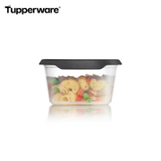 One Touch Fresh® oval 540 ml - Tupperland