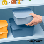 Load image into Gallery viewer, Basic Line 5 Liter - Tupperland