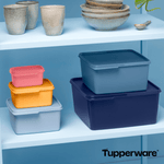 Load image into Gallery viewer, Basic Line 5 Liter - Tupperland