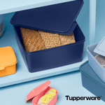 Load image into Gallery viewer, Basic Line 5 Liter - Tupperland