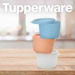 Load image into Gallery viewer, Frische Behälter - Kunterbunt 110ml (3-teilig) - Tupperland